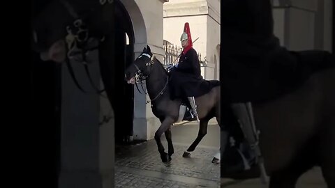 Horse spooked by ambulance #horseguardsparade