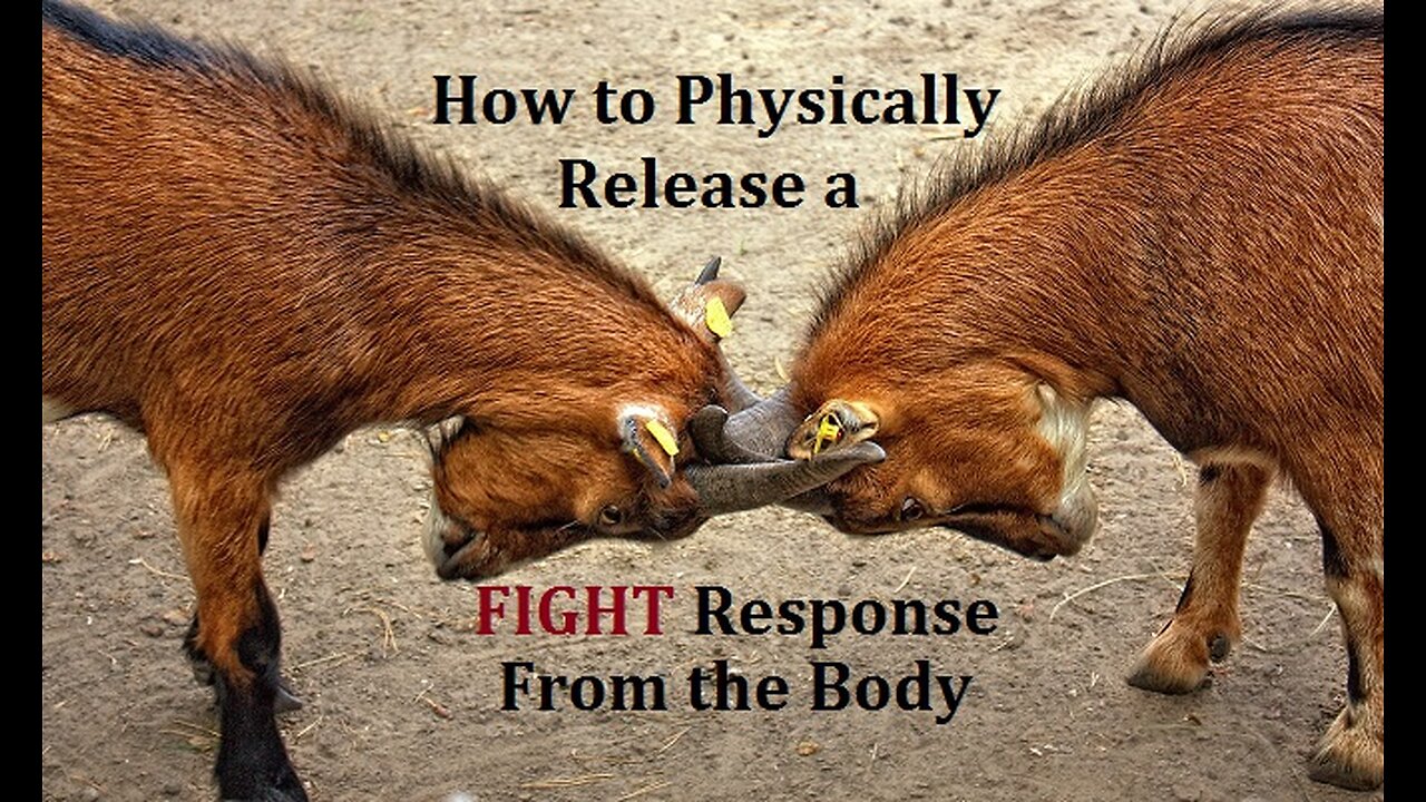 How to Release a Fight Response when the Body wants to Hit Something: (Somatic Experiencing Q&A)