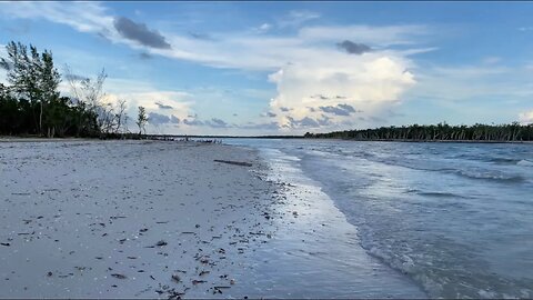 SWF Beach Life Hurricane Idalia Update