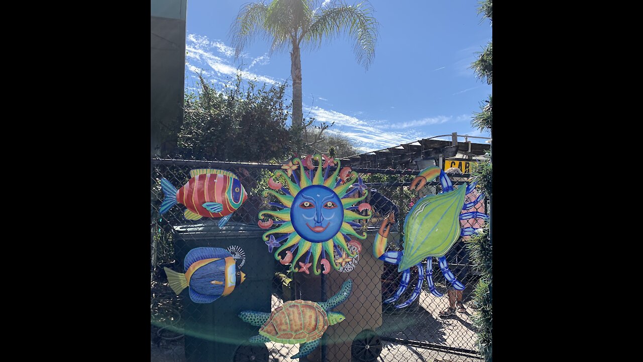 The Colors of New Smyrna Beach