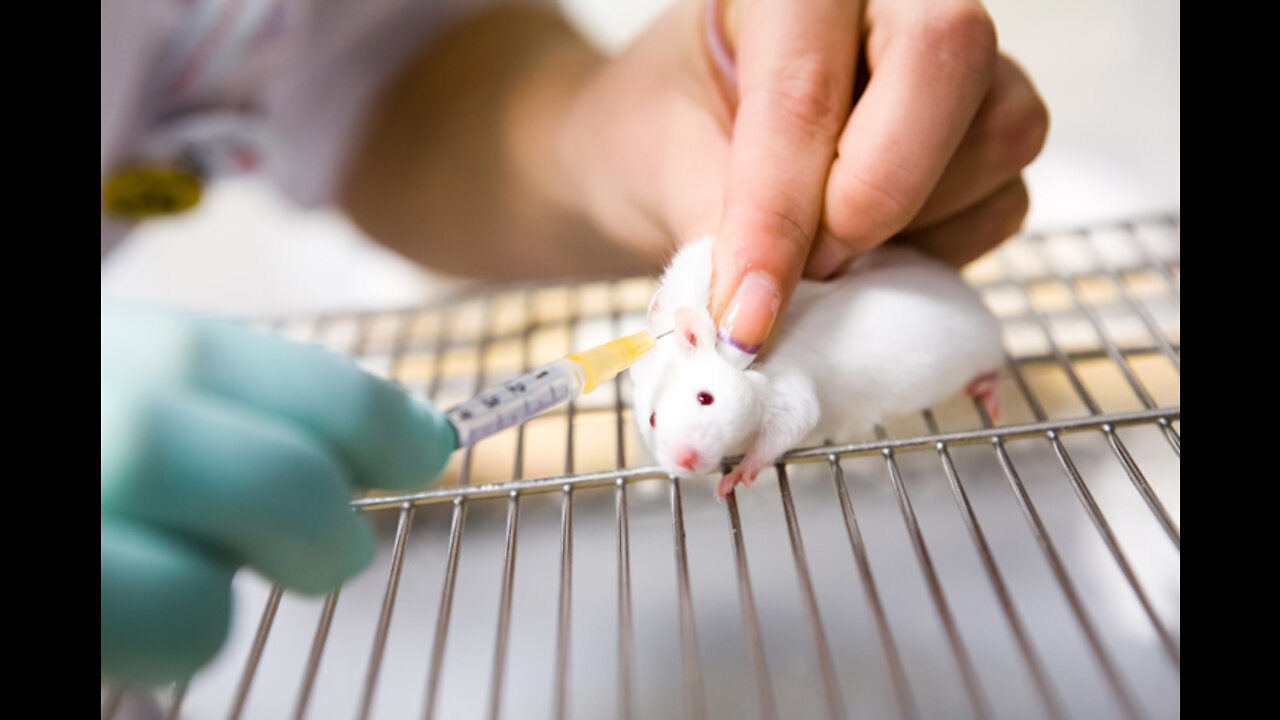 FDA Letter Is Not What It Seems