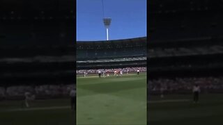 Drone Hits Cricket Player #memes #lol #shorts #funnyvideos #comedy #memesdaily #fyp #subscribe