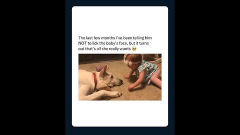 soulful bond between dog and baby 🐥