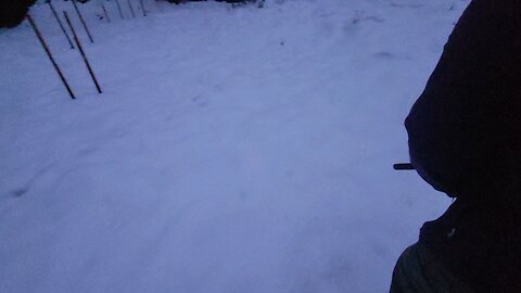 30round 12 gauge