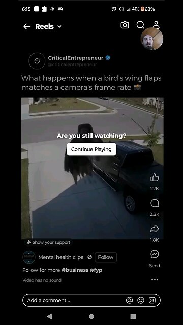 Eminem and the ducks stand