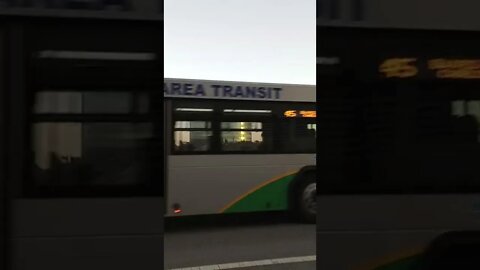 #gangstalking perp walk 10/31/2022 Pt. 1