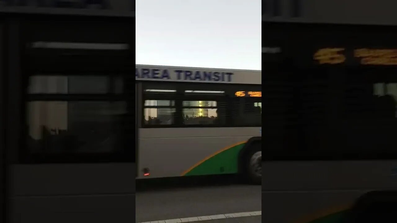 #gangstalking perp walk 10/31/2022 Pt. 1