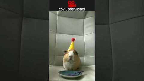 O PESADELO DE QUEM GOSTA DE BOLO