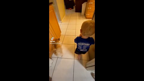 Baby Pranks His Pomeranian - Cuteness Overload