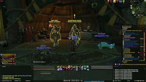 World of Warcraft Dragonflight Hatchling Plans