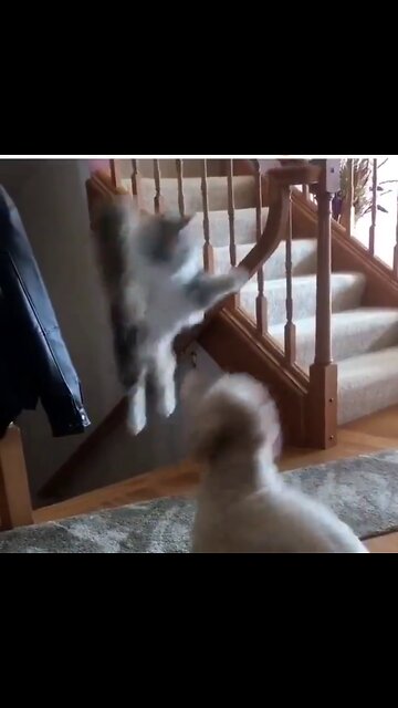 Trumps Comeback in 2024 Gonna be like SURPRISE YOU COMMIE LOVERS