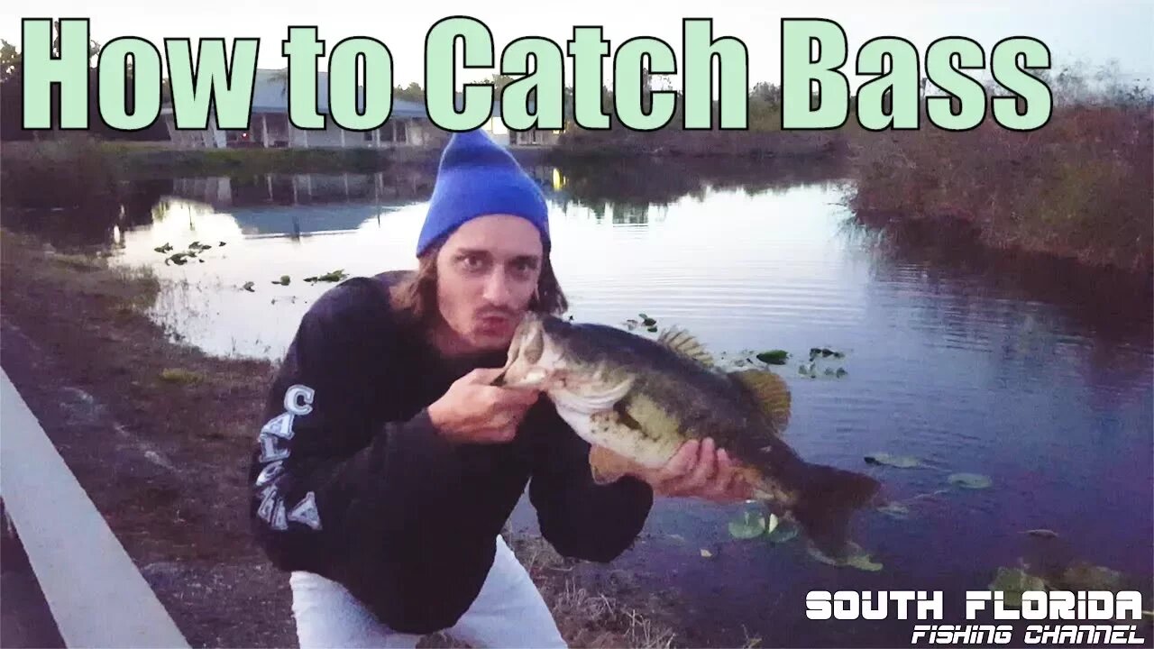 How to Catch a Big Bass | Florida Everglades National Park