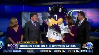 Dinger visits Denver7 morning news