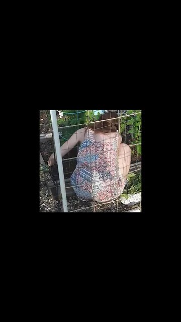 Gnomes snoozing 😆