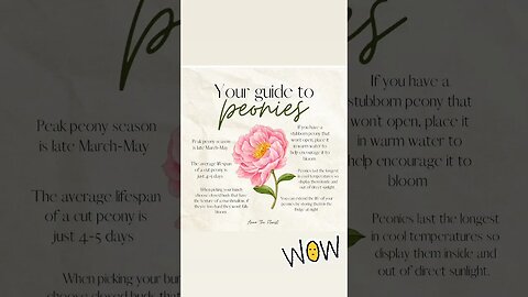 guide to peonies