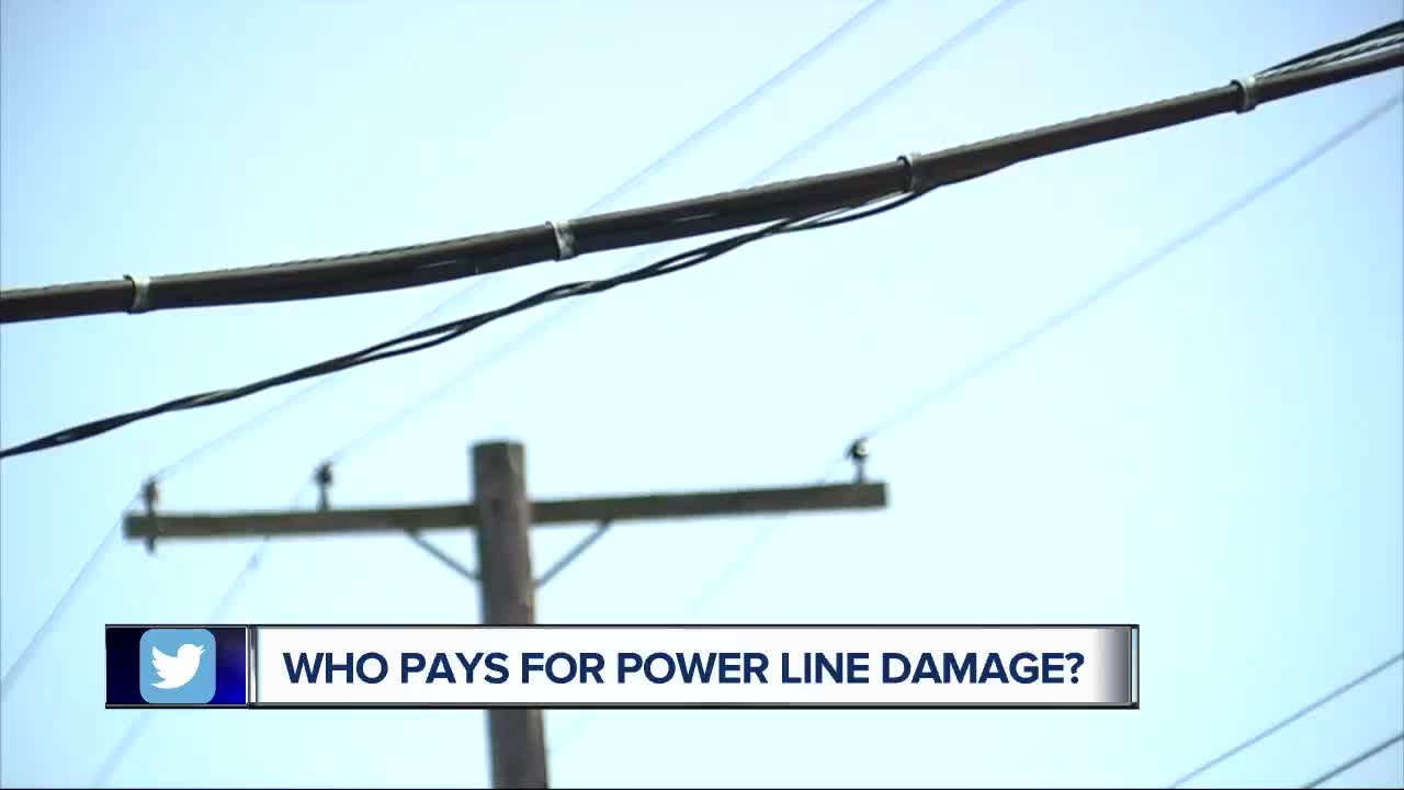 Who pays for low-hanging electric lines? You, or your utility company?