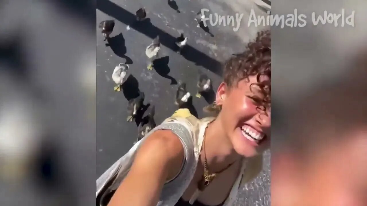 Funniest Cats And Dogs Videos 😁 Best Funny Animal Videos 2023 😅 #12
