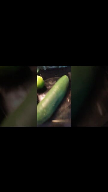 Day 3 of the 30-day Green Juice Challenge🍏💗☮️