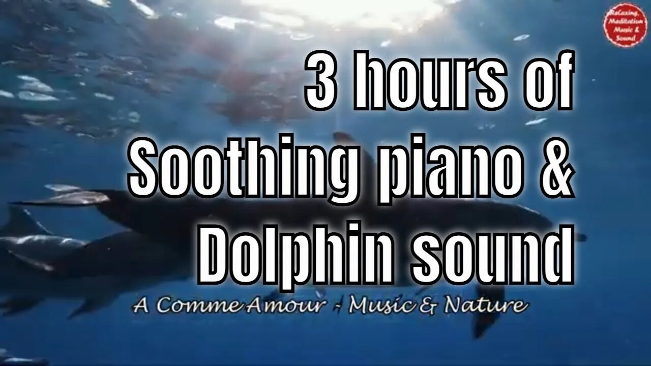 Soothing music with piano and dolphin sound for 3 hours, music for meditation and yoga