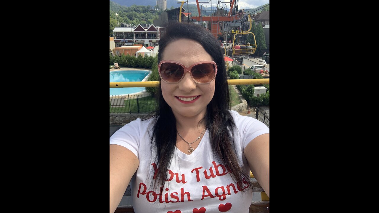 GATLINBURG TN longest hanging bridge