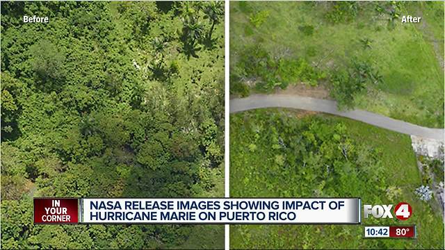 Puerto Rico ecosystem affected from Hurricane Marie