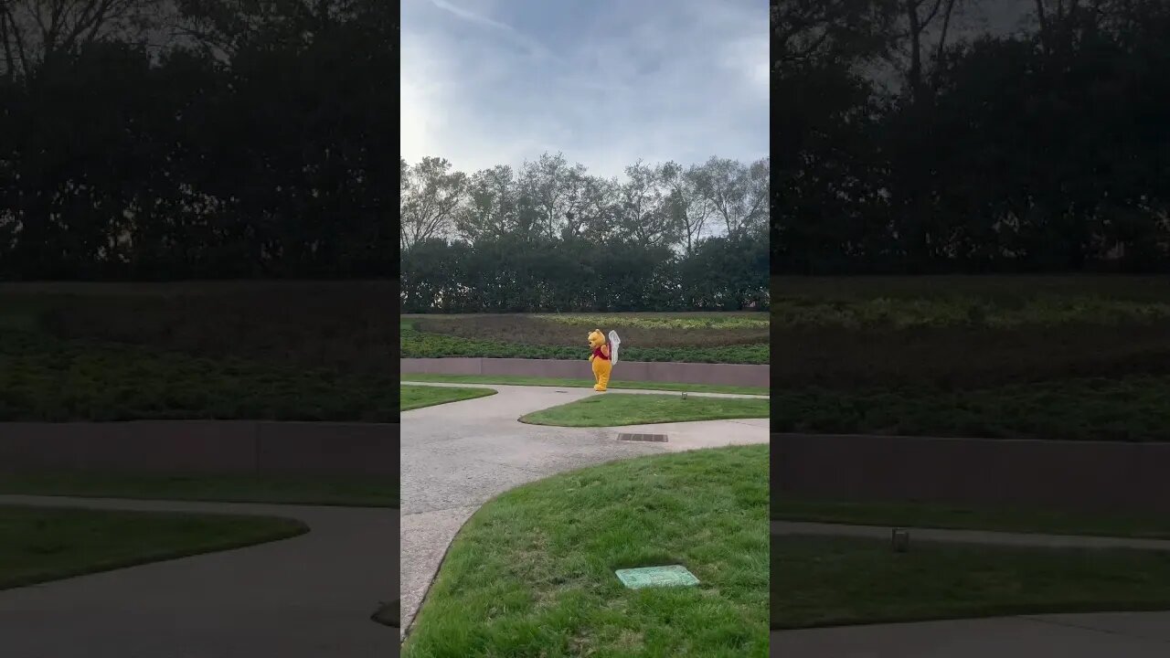 Winnie the Pooh #shorts #disneyworld #epcot