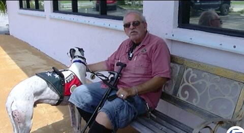 Donation to Hounds and Heroes will help more veterans get a service dog