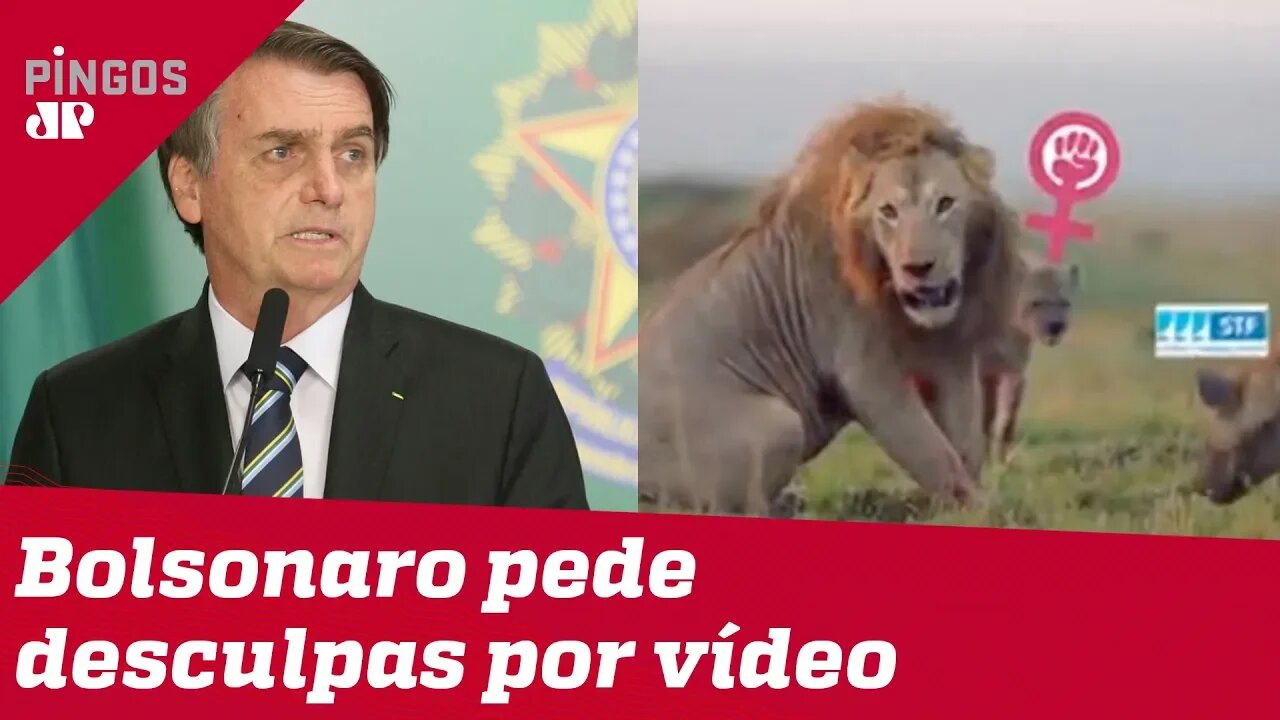 Bolsonaro pede desculpas ao STF por vídeo com leão e hienas