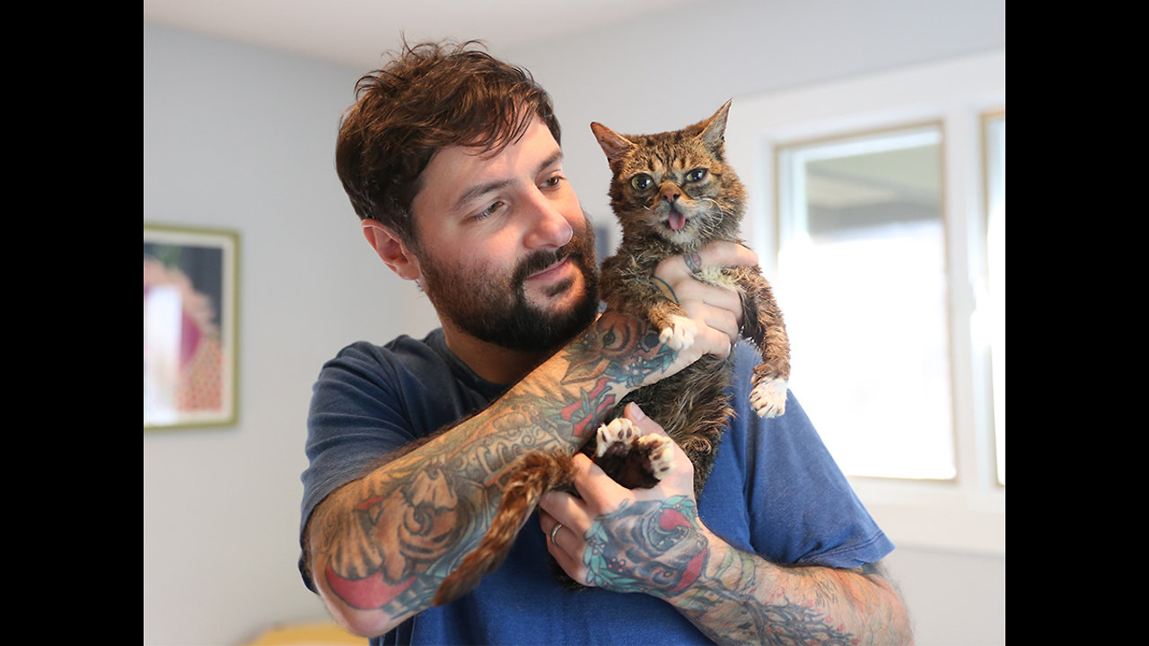 Lil BUB: Meet the Internet's favorite cat