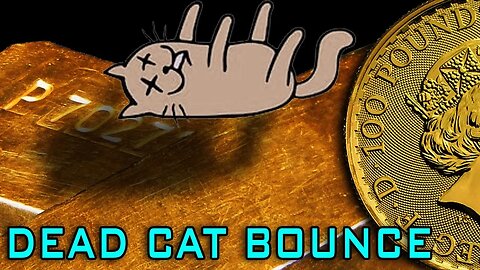 GOLD And The DEAD CAT BOUNCE!