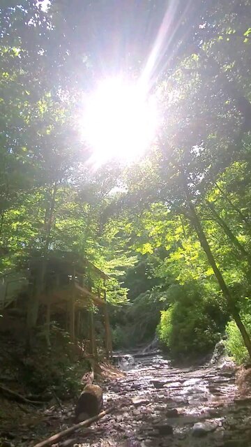 A nice day for four wheeling