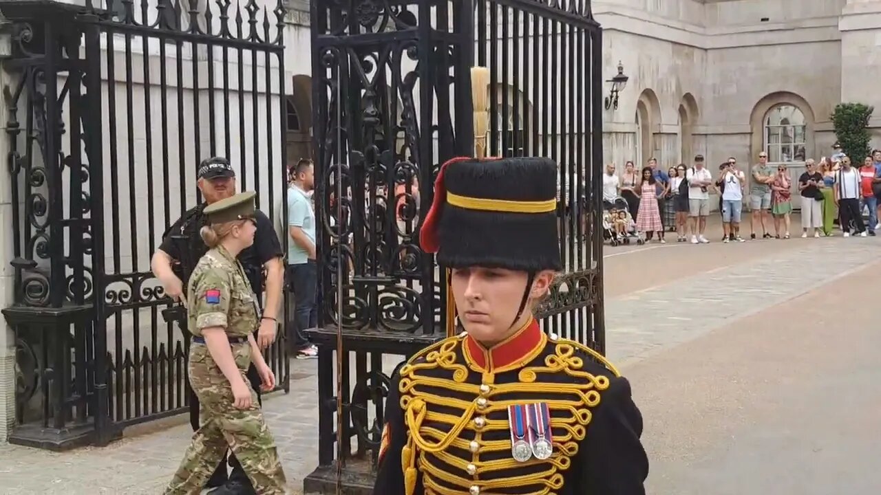 Tourist need to move when you're told #horseguardsparade