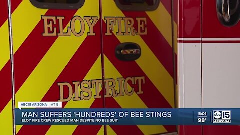 Man suffers 'hundreds' of bee stings in Eloy