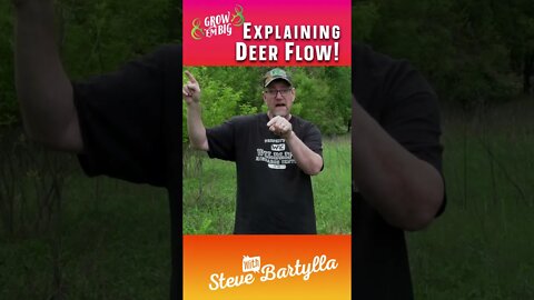 Explaining Deer Flow #shorts #deer #deerhunting