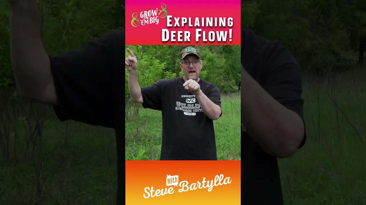 Explaining Deer Flow #shorts #deer #deerhunting