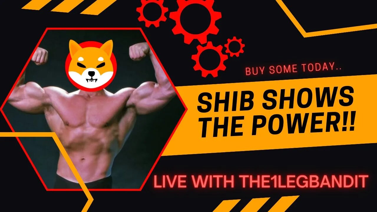 Shib's Flexing It's Muscles During this Time of Crypto (FTX) Turmoil