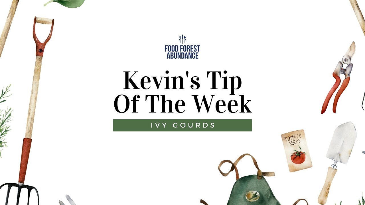 Kevin’s Tip of The Week: Ivy gourds vs. cucumbers