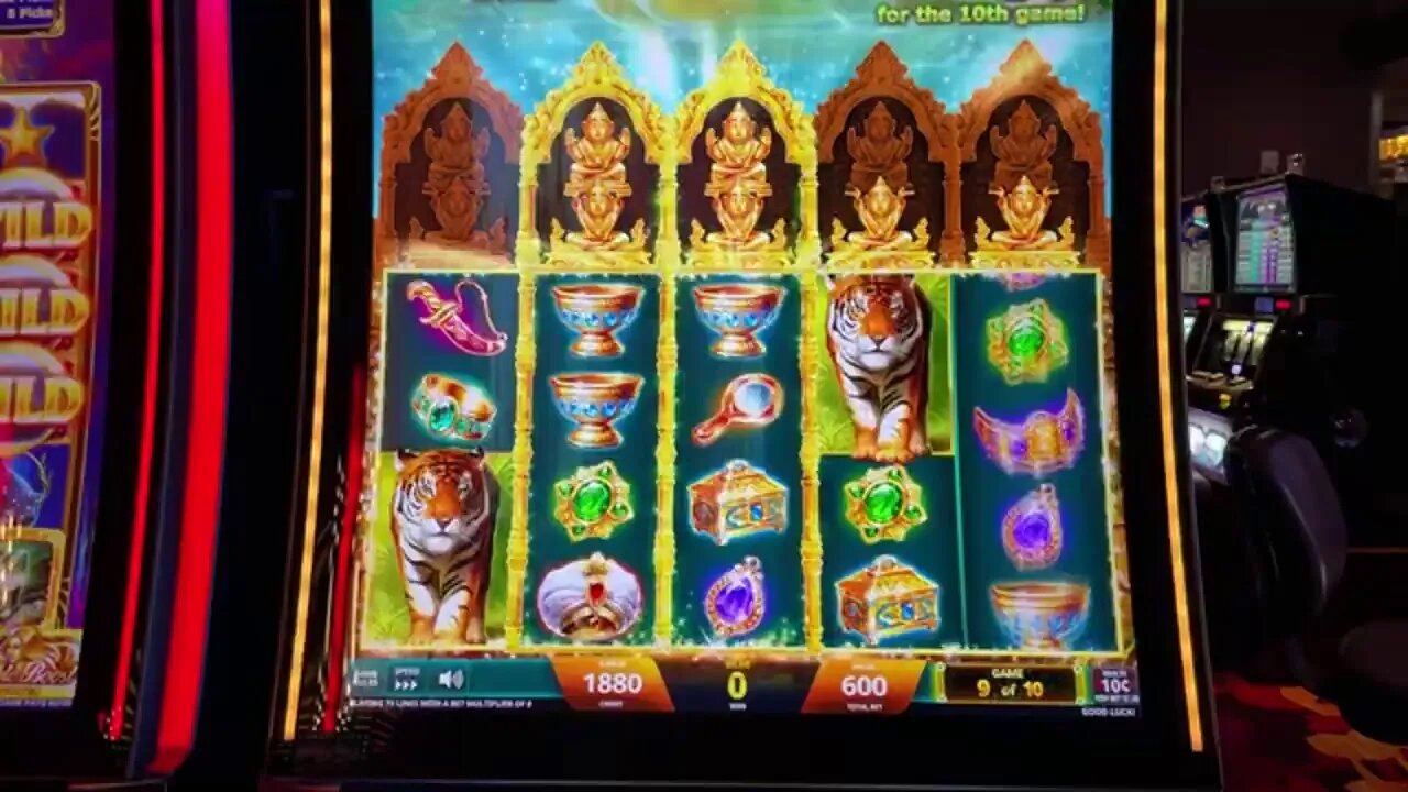 🐅 Late Night Slot Jackpots 🐅 $60 Max Bet Golden Jungle & $100 Ocean Magic Grand Bonus Jackpots!