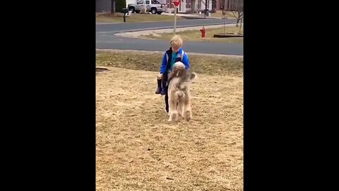 The most beautiful encounter ❤ #shorts #shortsfeed #clips #shortvideo