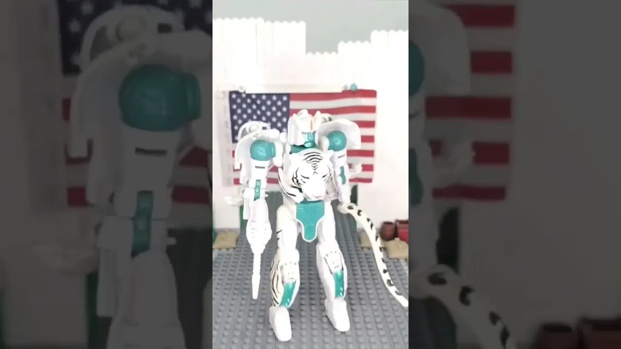 Bought in 2022 EP 9 Kingdom Tigatron