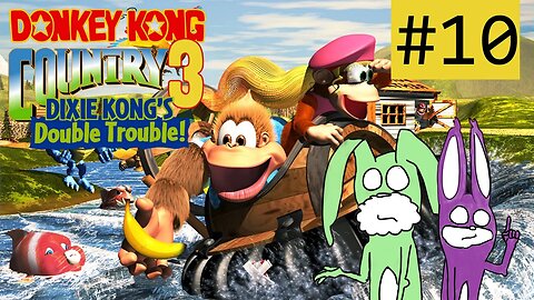 ABSTAUBEN BIS DER ARZT KOMMT | Donkey Kong Country 3 mit RED & GREEN #10