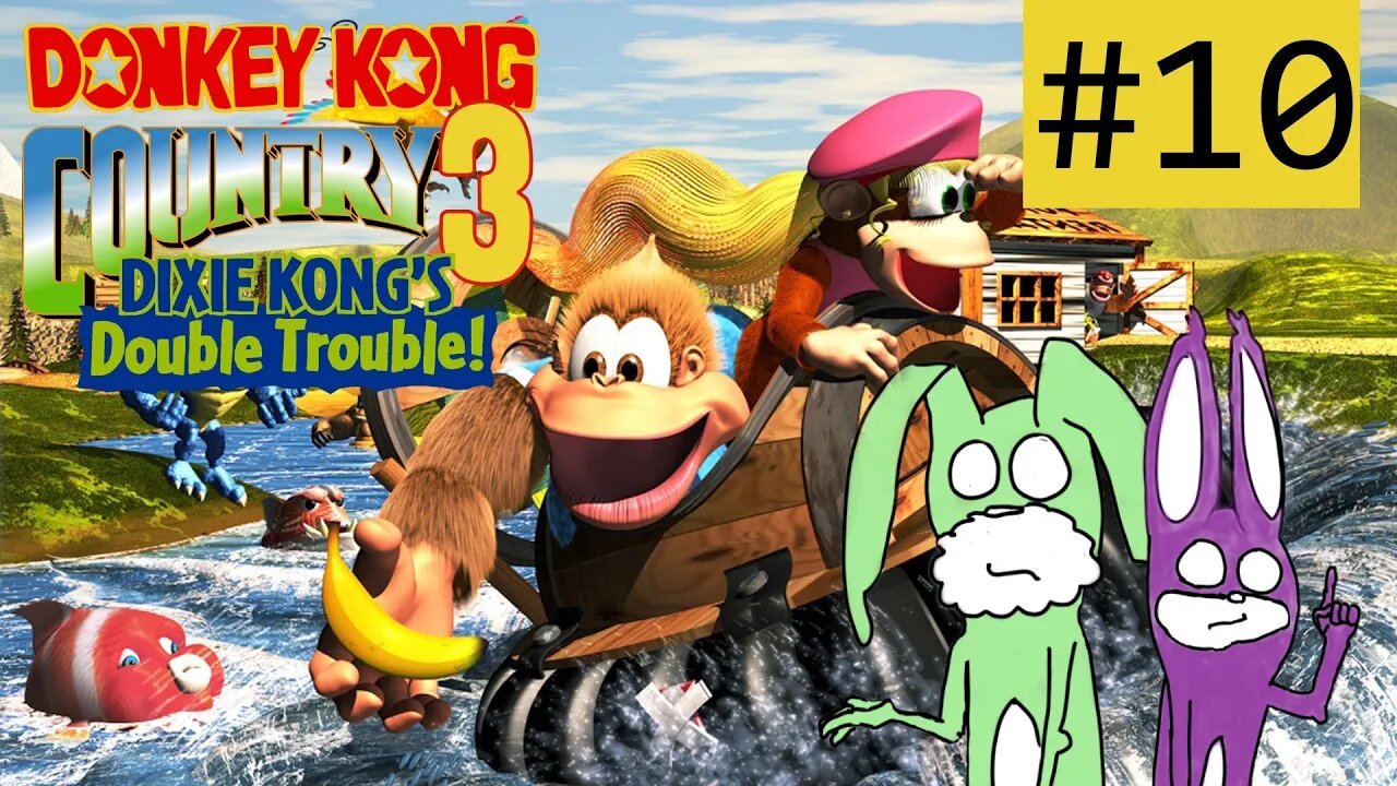 ABSTAUBEN BIS DER ARZT KOMMT | Donkey Kong Country 3 mit RED & GREEN #10