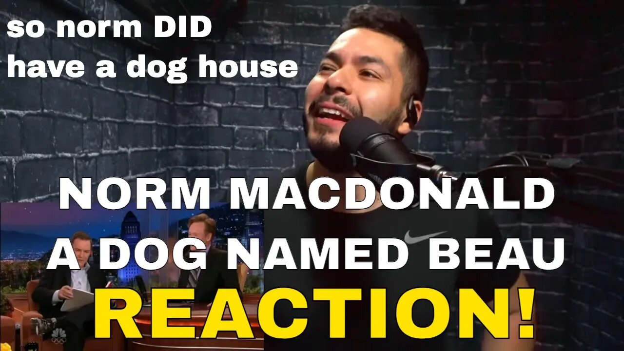 Norm Macdonald A Dog Named Beau Bit (Reaction!) | It's been too long since we have done a Norm video
