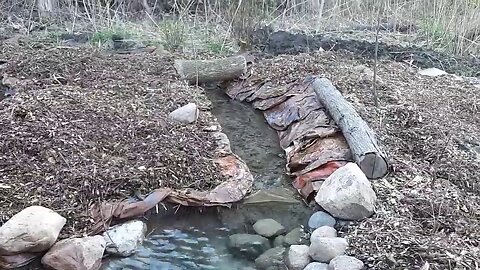 Artesian well wetland project update