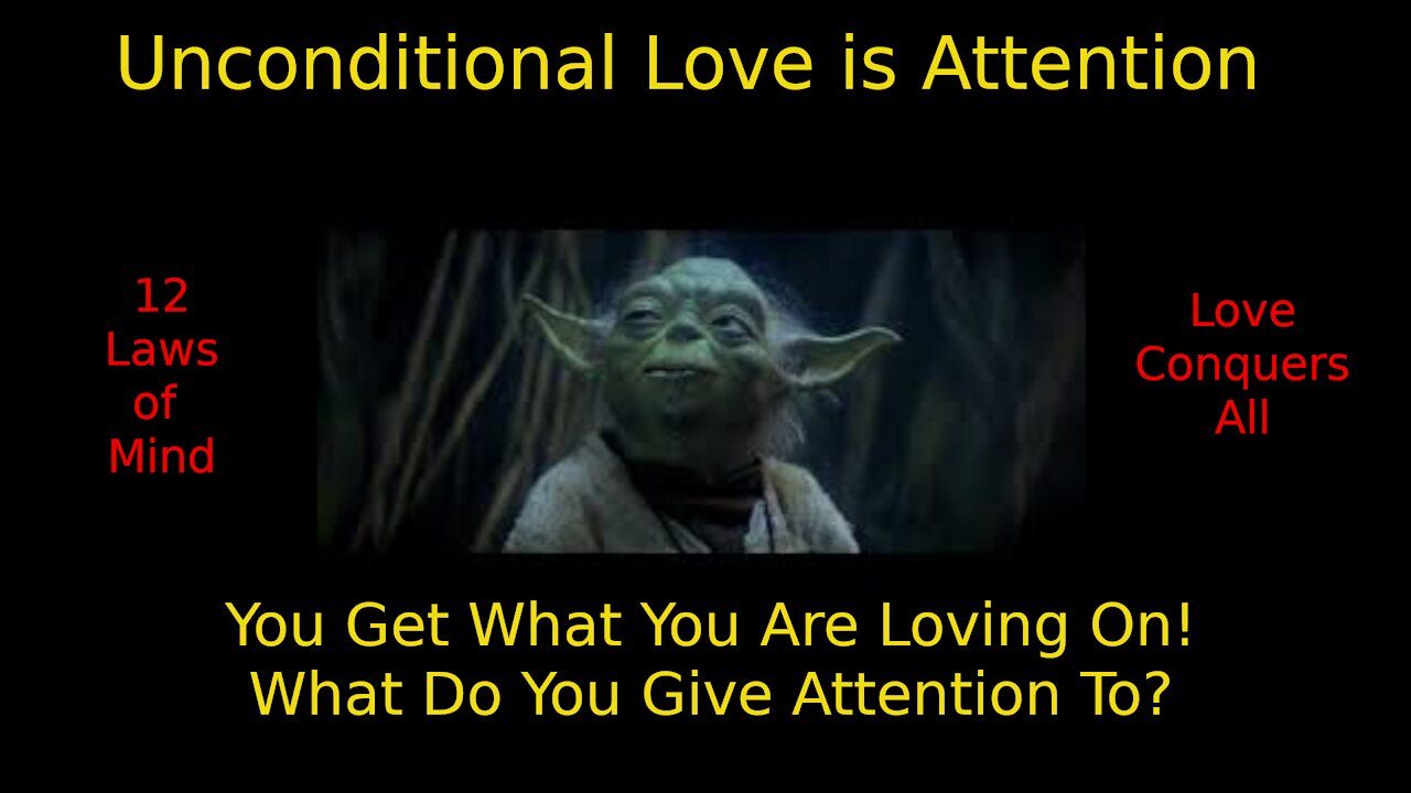 Attention is Unconditional Love - The Teachings of Mimi