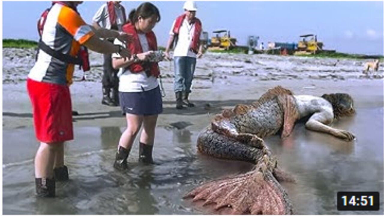 45 Incredible Moments Caught on Camera