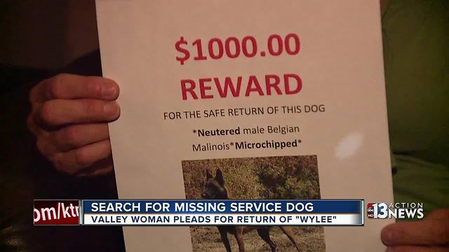 Valley woman pleads for safe return of missing service dog