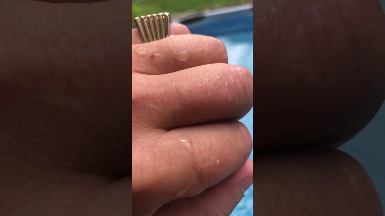 2nd 🐝 Rescue Today!