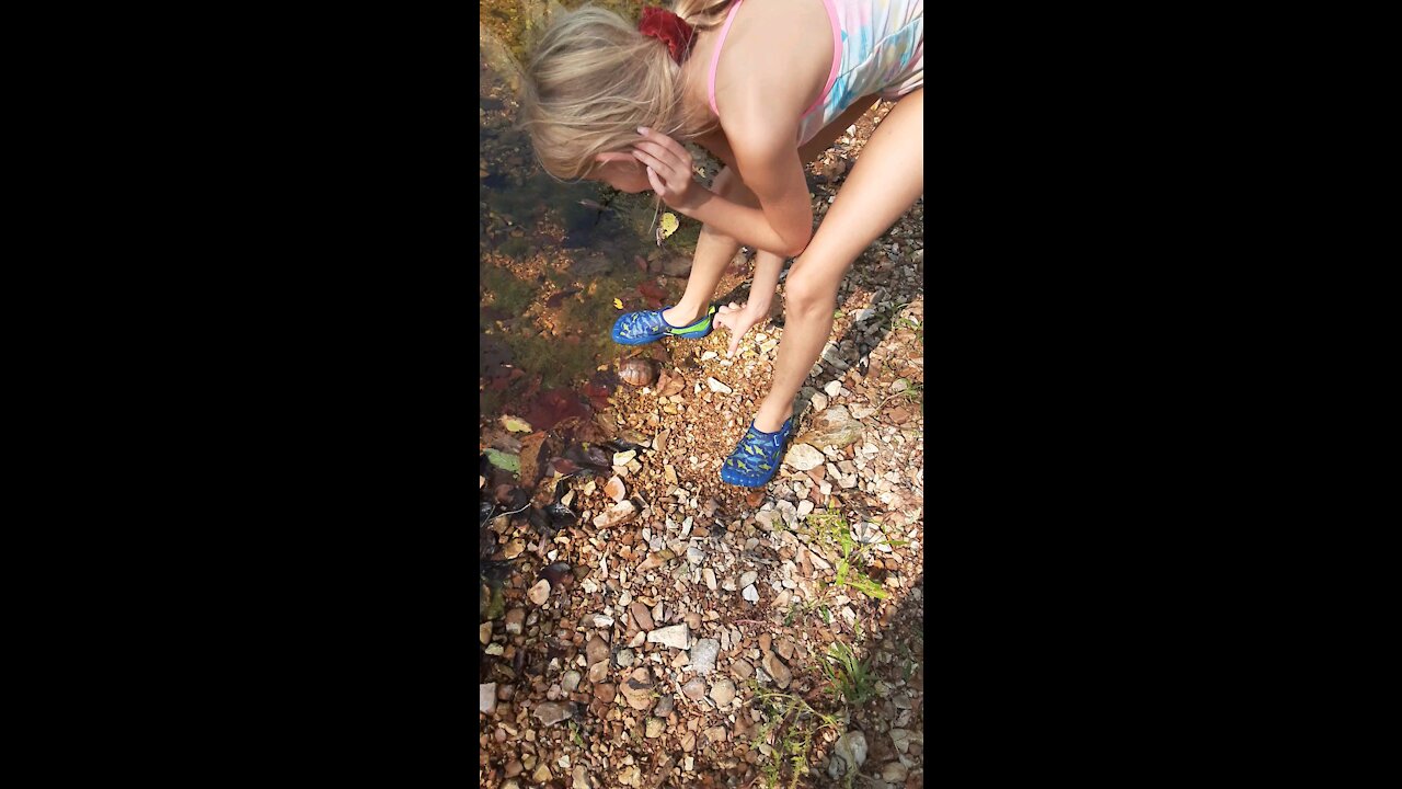 Bella releases rescued Turtle 2020