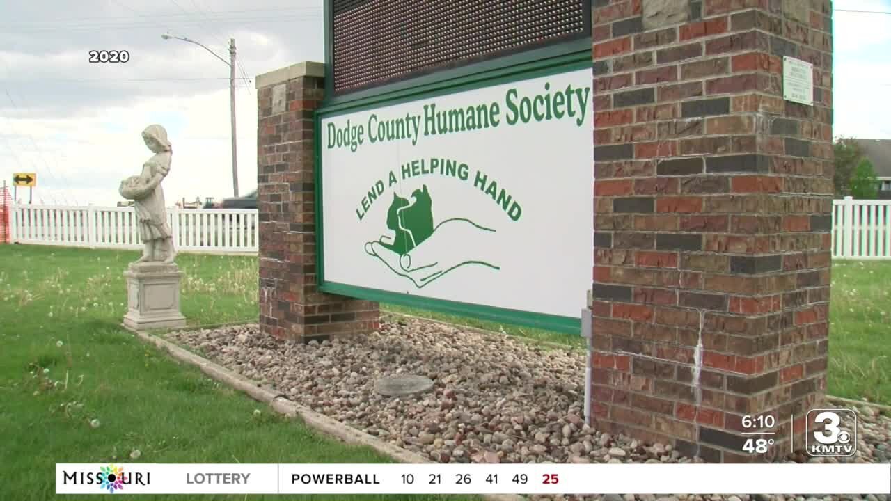 Dodge County Humane Society director tampered with evidence, officer says in testimony